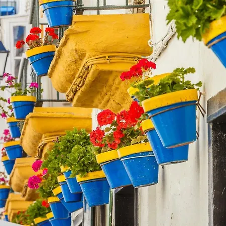 Διαμέρισμα Essence *